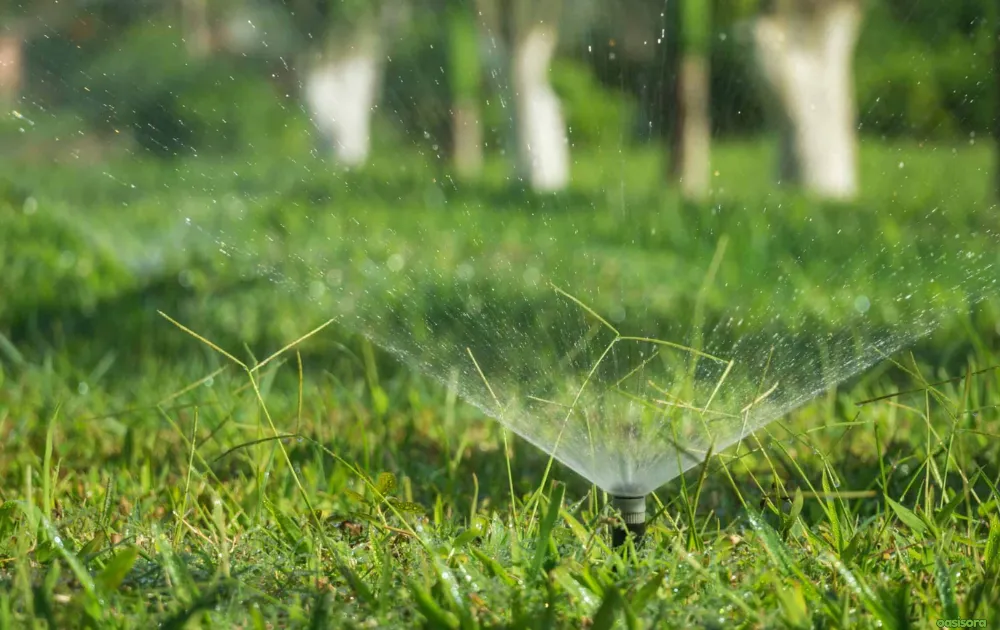 Water-Saving-turfs-for-arizona