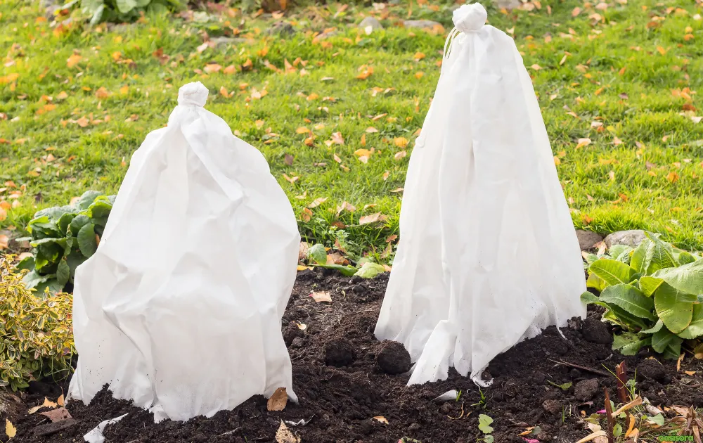 5 Simple Solutions To Frost Damage on Trees in Arizona 12 shade-clloths-for-trees-to-avoid-frost