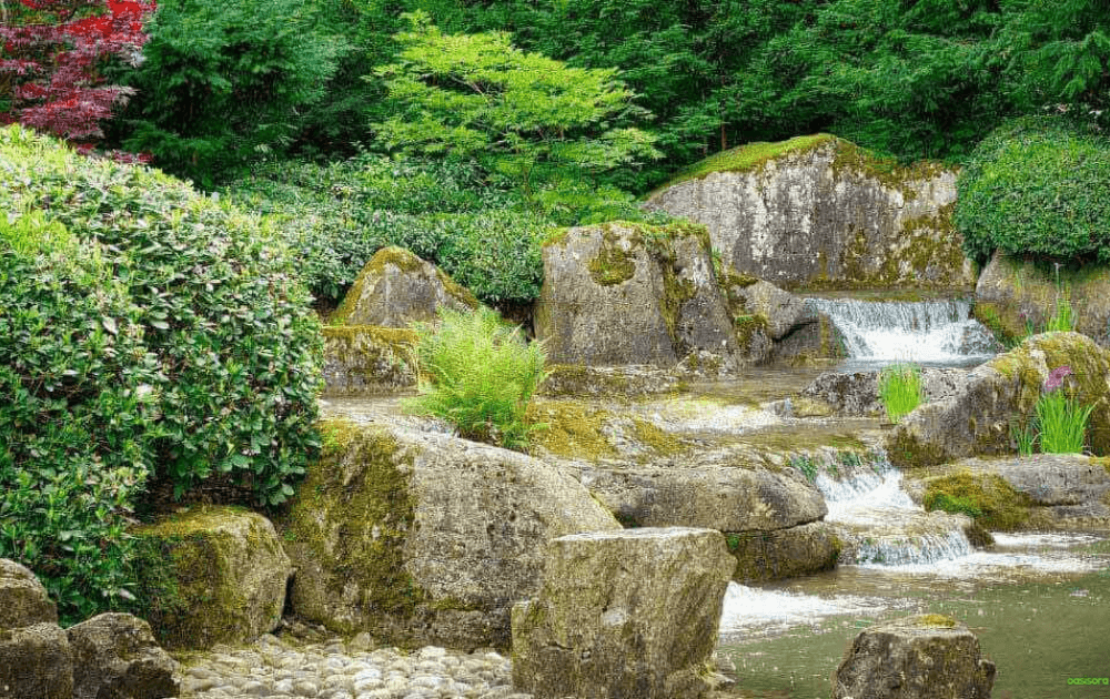 Asymmetry-&-Natural-Balance