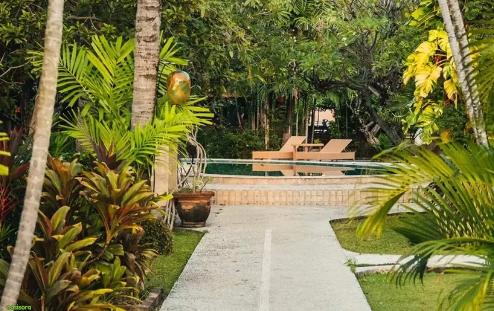 Designing-for-Shade-Privacy-and-Tropical-Appeal