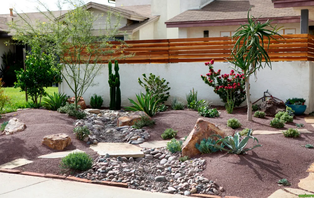 18 Best Arizona Wildflowers That Turn the Desert Colorful 21 tidy-yard-with-blooms-for-arizona-landscapes