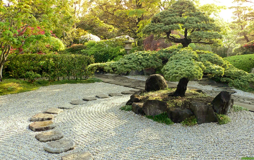 understanding-the-Role-of-Stones-in-Zen-Gardens