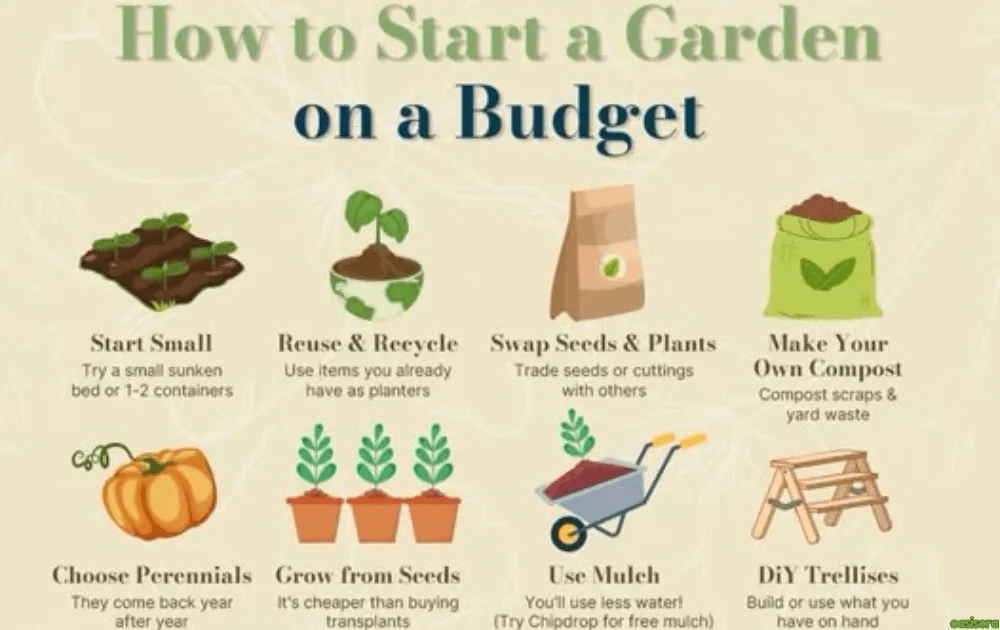 Common Beginner Landscaping Mistakes to Avoid in 2026 12 Going-Over-Budget-Too-Early
