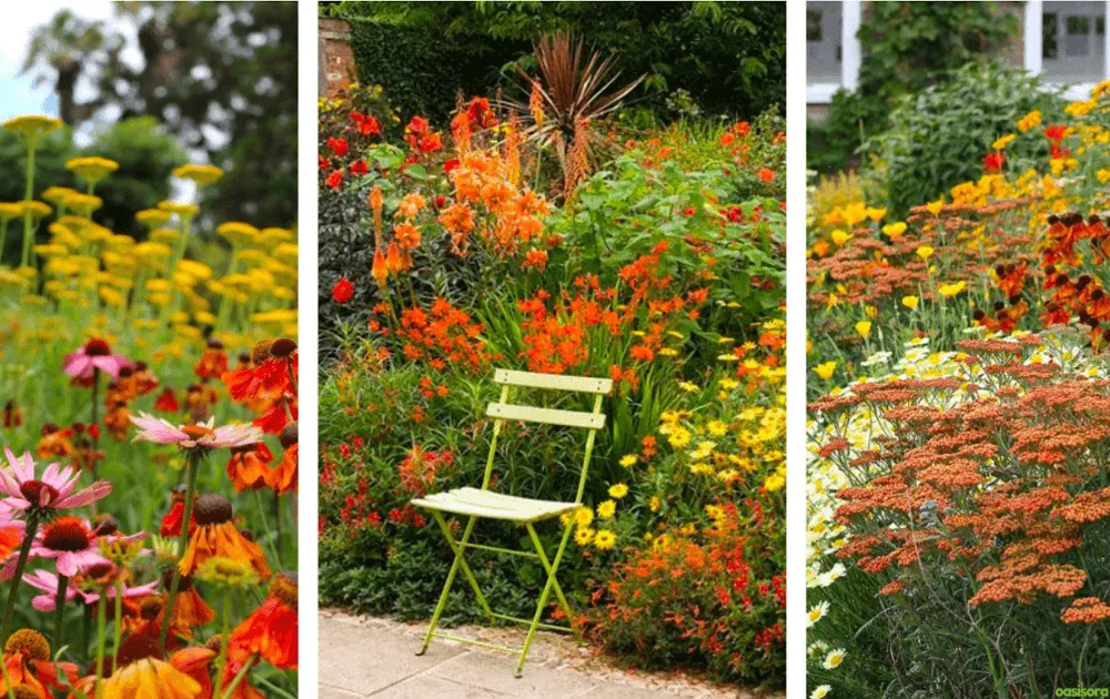 What Colors Dominate Traditional Japanese Gardens That Work 19 How-Do-These-Colors-Work-Together-Harmoniously