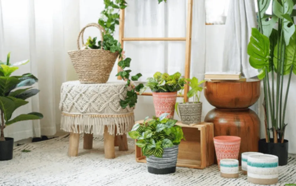 How-to-Create-Simple-Zen-Corner