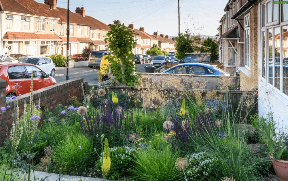 Common Beginner Landscaping Mistakes to Avoid in 2026 9 Overloading-the-Yard-With-Too-Many-Features