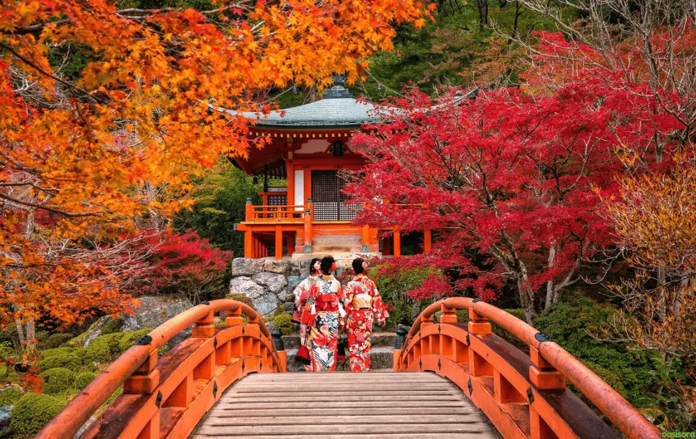 What Colors Dominate Traditional Japanese Gardens That Work 13 Vermilion-Elements