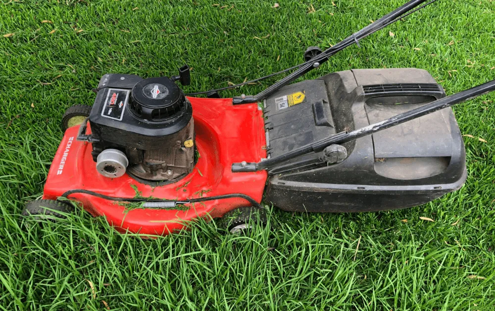 Buffalo Grass Autumn Mowing Height Guide 3 A-Guide-to-Rotary-Lawn-Mowers