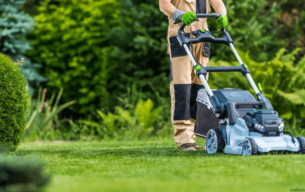 Buffalo Grass Autumn Mowing Height Guide 1 Buffalo-Grass-Autumn-Mowing-Height-Guide
