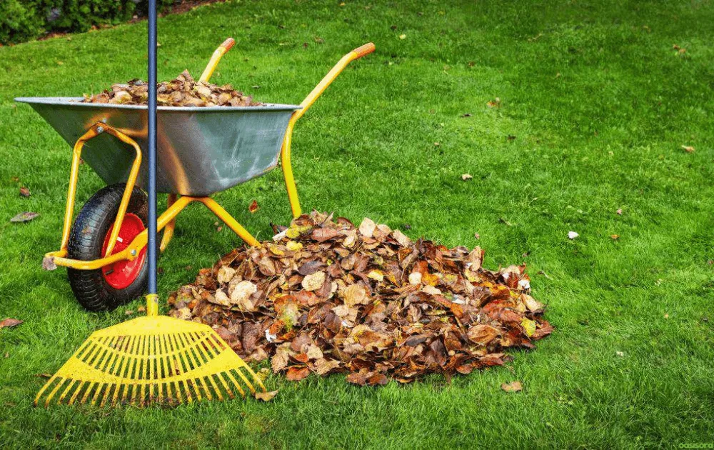 How You Should Adjust Mowing During Autumn 2 Final-Autumn-Lawn-Checklist