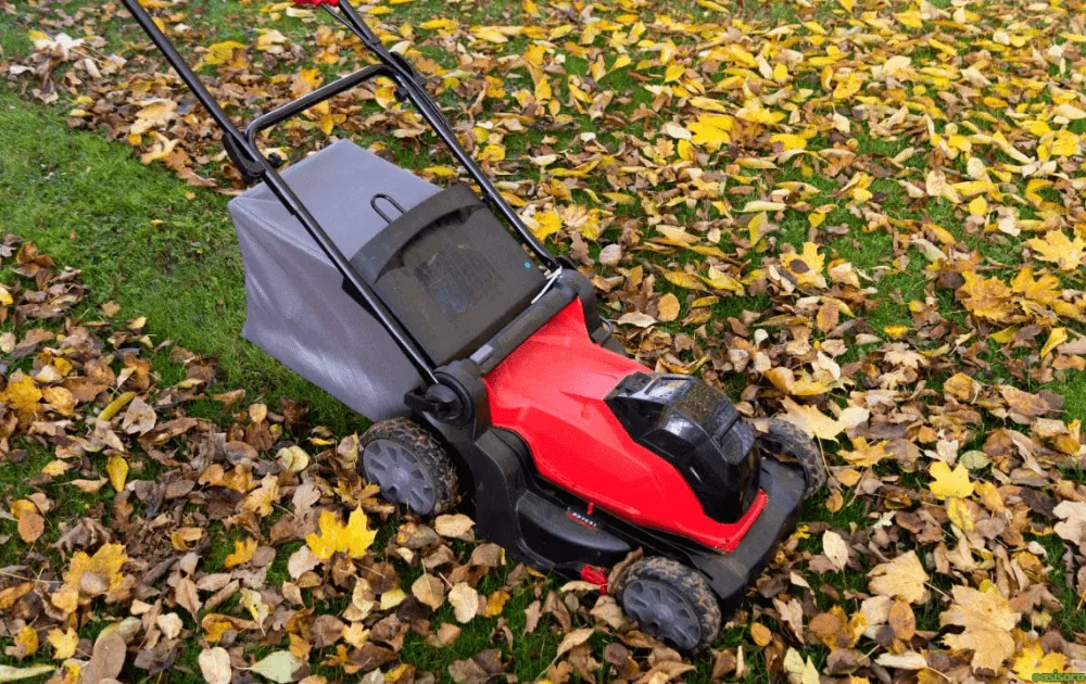 How You Should Adjust Mowing During Autumn 6 Should-You-Cut-Short-Before-Winter