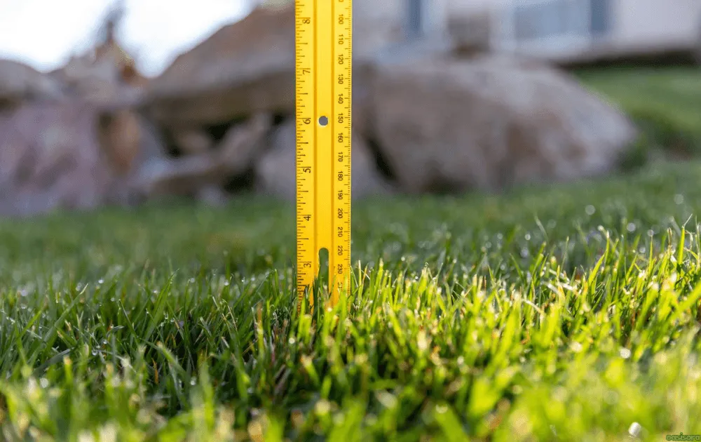 How You Should Adjust Mowing During Autumn 4 The-Ideal-Mowing-Height-During-Autumn