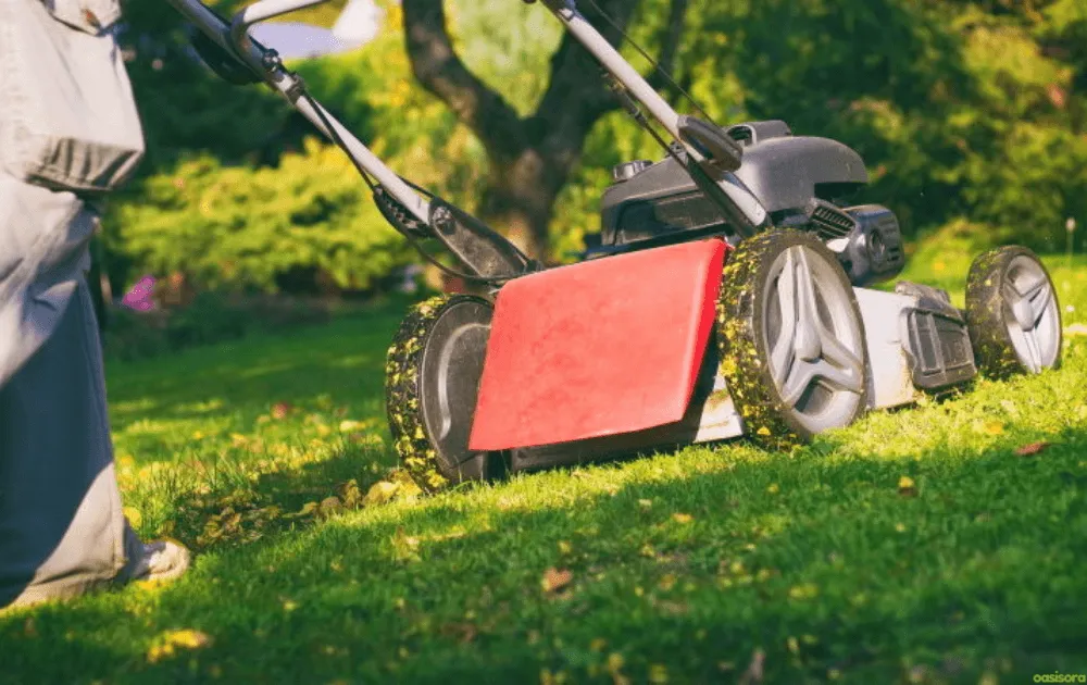 How You Should Adjust Mowing During Autumn 3 When-Should-You-Stop-Mowing-in-Autumn