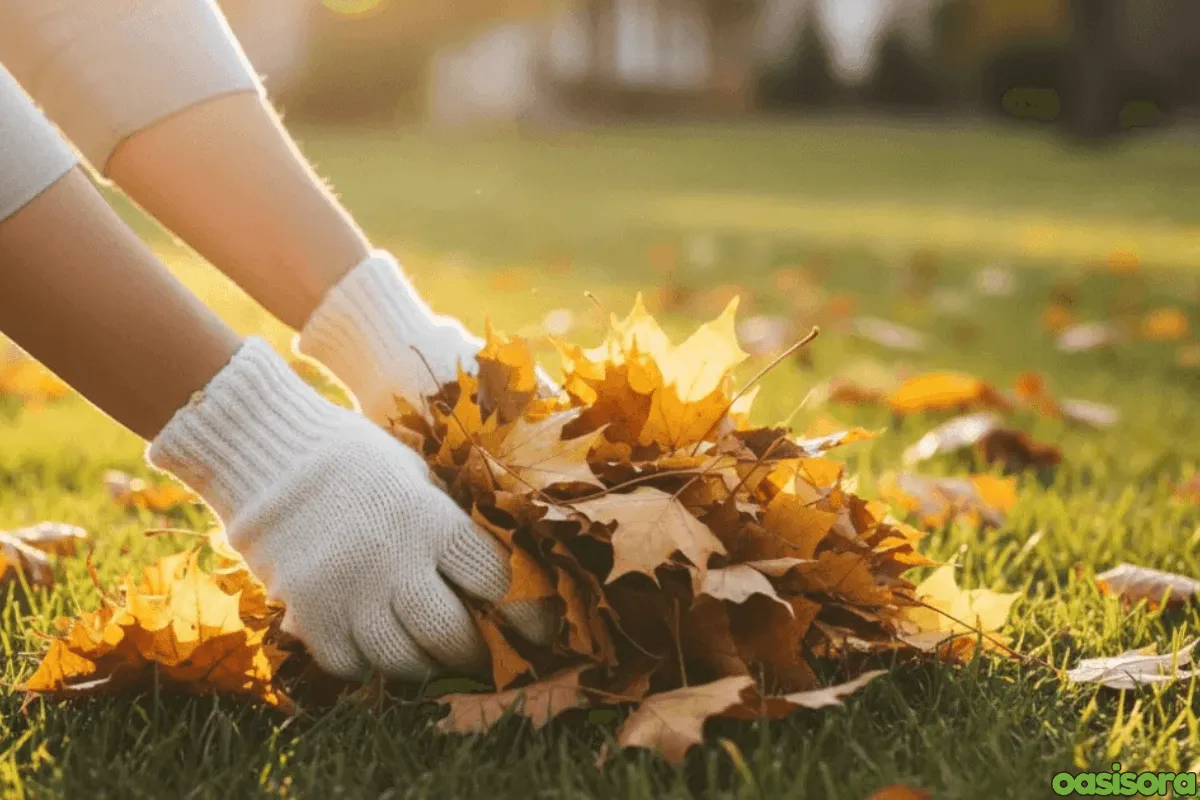 Falling-Leaves-and-Lawn-Debris